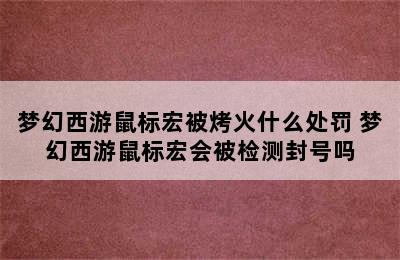 梦幻西游鼠标宏被烤火什么处罚 梦幻西游鼠标宏会被检测封号吗